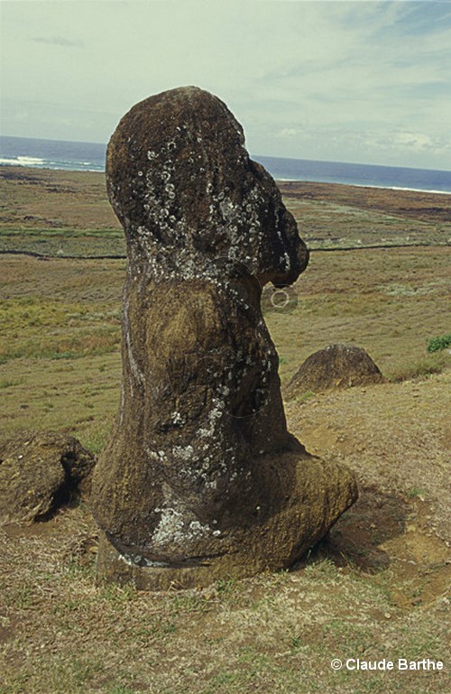 image25